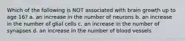 Which of the following is NOT associated with brain growth up to age 16? a. an increase in the number of neurons b. an increase in the number of glial cells c. an increase in the number of synapses d. an increase in the number of blood vessels