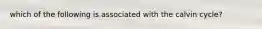 which of the following is associated with the calvin cycle?