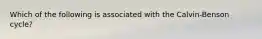 Which of the following is associated with the Calvin-Benson cycle?
