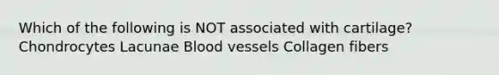 Which of the following is NOT associated with cartilage? Chondrocytes Lacunae <a href='https://www.questionai.com/knowledge/kZJ3mNKN7P-blood-vessels' class='anchor-knowledge'>blood vessels</a> Collagen fibers