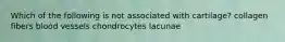 Which of the following is not associated with cartilage? collagen fibers blood vessels chondrocytes lacunae