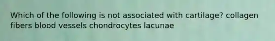 Which of the following is not associated with cartilage? collagen fibers blood vessels chondrocytes lacunae