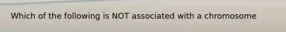 Which of the following is NOT associated with a chromosome