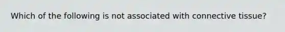 Which of the following is not associated with connective tissue?