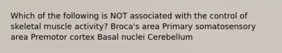 Which of the following is NOT associated with the control of skeletal muscle activity? Broca's area Primary somatosensory area Premotor cortex Basal nuclei Cerebellum