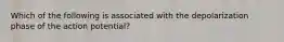 Which of the following is associated with the depolarization phase of the action potential?