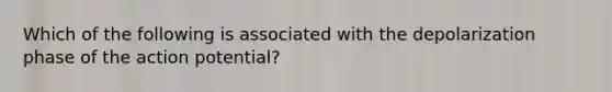 Which of the following is associated with the depolarization phase of the action potential?