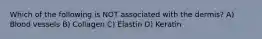 Which of the following is NOT associated with the dermis? A) Blood vessels B) Collagen C) Elastin D) Keratin