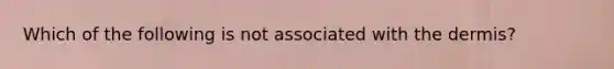 Which of the following is not associated with the dermis?