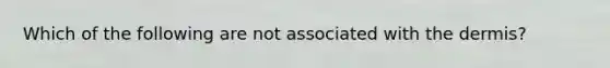 Which of the following are not associated with <a href='https://www.questionai.com/knowledge/kEsXbG6AwS-the-dermis' class='anchor-knowledge'>the dermis</a>?