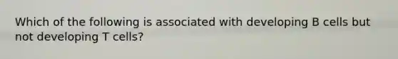 Which of the following is associated with developing B cells but not developing T cells?