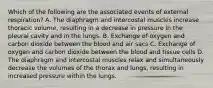 Which of the following are the associated events of external respiration? A. The diaphragm and intercostal muscles increase thoracic volume, resulting in a decrease in pressure in the pleural cavity and in the lungs. B. Exchange of oxygen and carbon dioxide between the blood and air sacs C. Exchange of oxygen and carbon dioxide between the blood and tissue cells D. The diaphragm and intercostal muscles relax and simultaneously decrease the volumes of the thorax and lungs, resulting in increased pressure within the lungs.