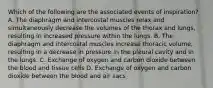 Which of the following are the associated events of inspiration? A. The diaphragm and intercostal muscles relax and simultaneously decrease the volumes of the thorax and lungs, resulting in increased pressure within the lungs. B. The diaphragm and intercostal muscles increase thoracic volume, resulting in a decrease in pressure in the pleural cavity and in the lungs. C. Exchange of oxygen and carbon dioxide between the blood and tissue cells D. Exchange of oxygen and carbon dioxide between the blood and air sacs