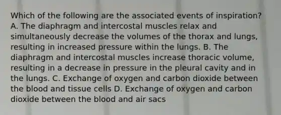 Which of the following are the associated events of inspiration? A. The diaphragm and intercostal muscles relax and simultaneously decrease the volumes of the thorax and lungs, resulting in increased pressure within the lungs. B. The diaphragm and intercostal muscles increase thoracic volume, resulting in a decrease in pressure in the pleural cavity and in the lungs. C. Exchange of oxygen and carbon dioxide between the blood and tissue cells D. Exchange of oxygen and carbon dioxide between the blood and air sacs