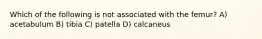 Which of the following is not associated with the femur? A) acetabulum B) tibia C) patella D) calcaneus