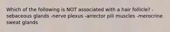 Which of the following is NOT associated with a hair follicle? -sebaceous glands -nerve plexus -arrector pili muscles -merocrine sweat glands