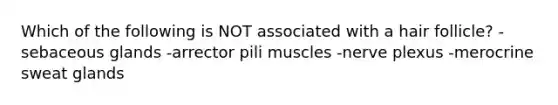 Which of the following is NOT associated with a hair follicle? -sebaceous glands -arrector pili muscles -nerve plexus -merocrine sweat glands