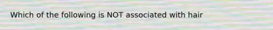 Which of the following is NOT associated with hair