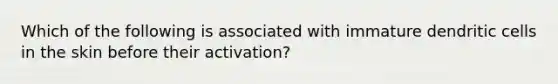 Which of the following is associated with immature dendritic cells in the skin before their activation?