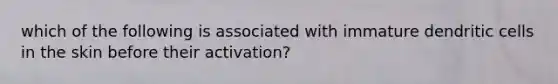 which of the following is associated with immature dendritic cells in the skin before their activation?