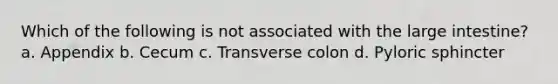 Which of the following is not associated with the <a href='https://www.questionai.com/knowledge/kGQjby07OK-large-intestine' class='anchor-knowledge'>large intestine</a>? a. Appendix b. Cecum c. Transverse colon d. Pyloric sphincter