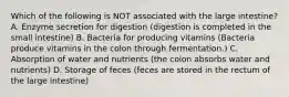 Which of the following is NOT associated with the large intestine? A. Enzyme secretion for digestion (digestion is completed in the small intestine) B. Bacteria for producing vitamins (Bacteria produce vitamins in the colon through fermentation.) C. Absorption of water and nutrients (the colon absorbs water and nutrients) D. Storage of feces (feces are stored in the rectum of the large intestine)