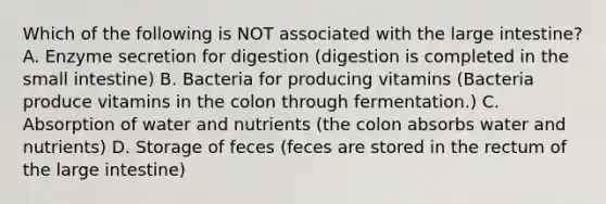 Which of the following is NOT associated with the large intestine? A. Enzyme secretion for digestion (digestion is completed in the small intestine) B. Bacteria for producing vitamins (Bacteria produce vitamins in the colon through fermentation.) C. Absorption of water and nutrients (the colon absorbs water and nutrients) D. Storage of feces (feces are stored in the rectum of the large intestine)