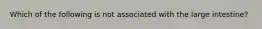 Which of the following is not associated with the large intestine?