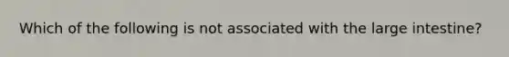 Which of the following is not associated with the <a href='https://www.questionai.com/knowledge/kGQjby07OK-large-intestine' class='anchor-knowledge'>large intestine</a>?