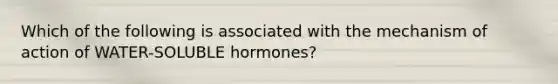 Which of the following is associated with the mechanism of action of WATER-SOLUBLE hormones?