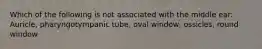 Which of the following is not associated with the middle ear: Auricle, pharyngotympanic tube, oval window, ossicles, round window