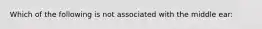 Which of the following is not associated with the middle ear: