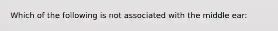 Which of the following is not associated with the middle ear: