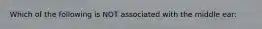 Which of the following is NOT associated with the middle ear: