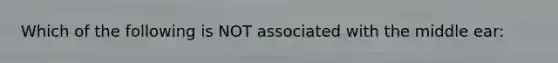 Which of the following is NOT associated with the middle ear: