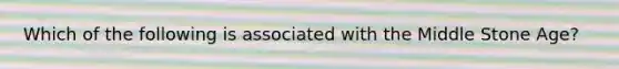Which of the following is associated with the Middle Stone Age?