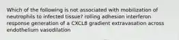 Which of the following is not associated with mobilization of neutrophils to infected tissue? rolling adhesion interferon response generation of a CXCL8 gradient extravasation across endothelium vasodilation