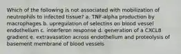 Which of the following is not associated with mobilization of neutrophils to infected tissue? a. TNF-alpha production by macrophages b. upregulation of selectins on blood vessel endothelium c. interferon response d. generation of a CXCL8 gradient e. extravasation across endothelium and proteolysis of basement membrane of blood vessels