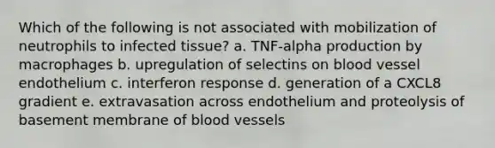 Which of the following is not associated with mobilization of neutrophils to infected tissue? a. TNF-alpha production by macrophages b. upregulation of selectins on blood vessel endothelium c. interferon response d. generation of a CXCL8 gradient e. extravasation across endothelium and proteolysis of basement membrane of blood vessels