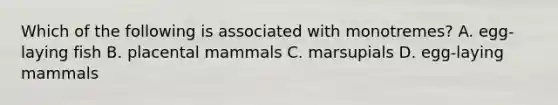 Which of the following is associated with monotremes? A. egg-laying fish B. placental mammals C. marsupials D. egg-laying mammals