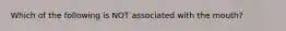 Which of the following is NOT associated with the mouth?