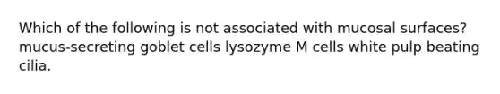 Which of the following is not associated with mucosal surfaces? mucus-secreting goblet cells lysozyme M cells white pulp beating cilia.