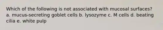 Which of the following is not associated with mucosal surfaces? a. mucus-secreting goblet cells b. lysozyme c. M cells d. beating cilia e. white pulp