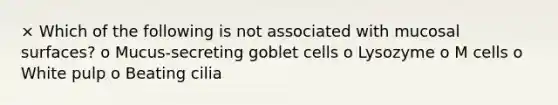 × Which of the following is not associated with mucosal surfaces? o Mucus-secreting goblet cells o Lysozyme o M cells o White pulp o Beating cilia