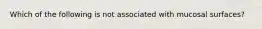 Which of the following is not associated with mucosal surfaces?