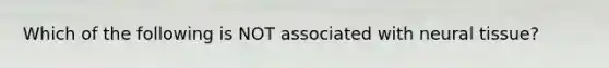 Which of the following is NOT associated with neural tissue?