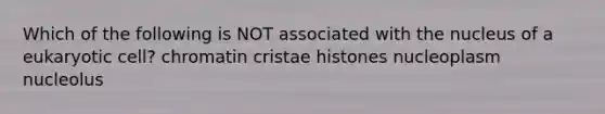 Which of the following is NOT associated with the nucleus of a eukaryotic cell? chromatin cristae histones nucleoplasm nucleolus