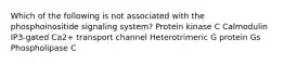 Which of the following is not associated with the phosphoinositide signaling system? Protein kinase C Calmodulin IP3-gated Ca2+ transport channel Heterotrimeric G protein Gs Phospholipase C