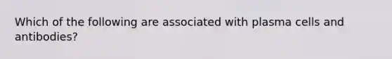 Which of the following are associated with plasma cells and antibodies?