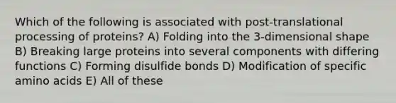 Which of the following is associated with post-translational processing of proteins? A) Folding into the 3-dimensional shape B) Breaking large proteins into several components with differing functions C) Forming disulfide bonds D) Modification of specific amino acids E) All of these